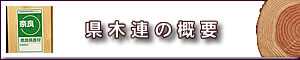 ���ؘA�̊T�v
